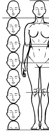 Drawing The Female Figure  Figure drawing female, Human figure
